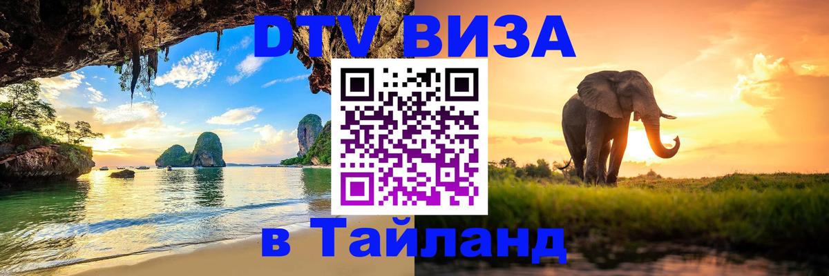 Оформление DTV визы под ключ: стоимость и тарифы, только загранпаспорт - 